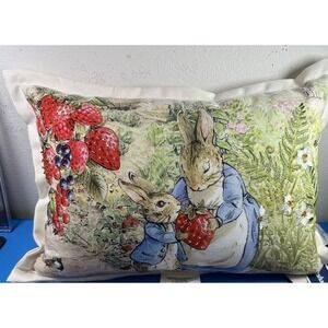 Beatrix Potter The Tale of Peter Rabbit & Tom Kitten Decorative Pillow 16x16 EUC